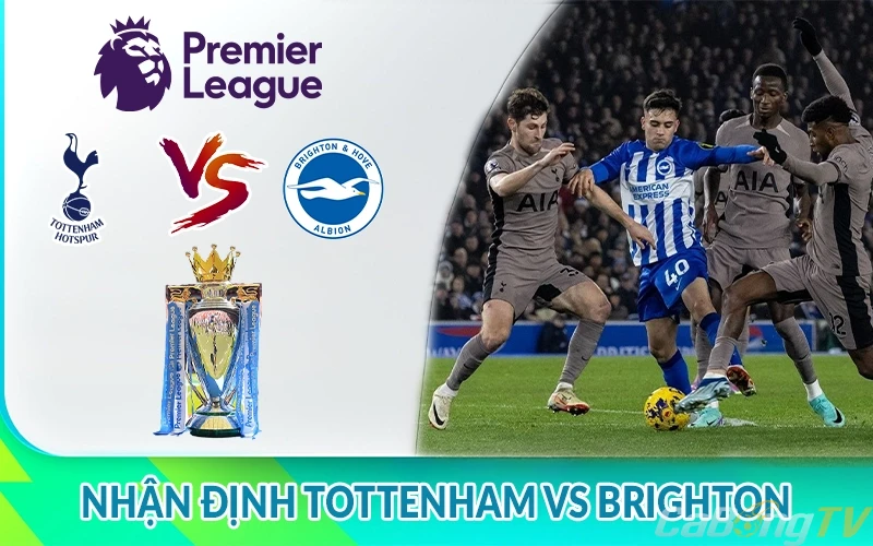 Nhận định Tottenham vs Brighton 22h00, 25/05: giải NHA 2 Nhận định Tottenham vs Brighton