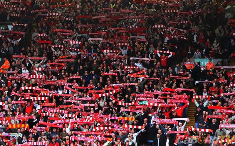 Phản ứng và kỳ vọng của người hâm mộ Liverpool